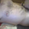 astleitx's Profile Picture