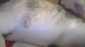 Recent Screenshot of  astleitx