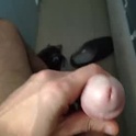 atzava133's Profile Picture