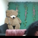 aurorarouse1609's Profile Picture