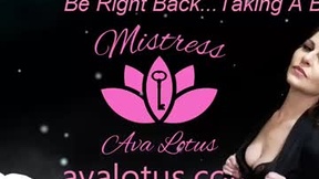 最近的截图 avalotus