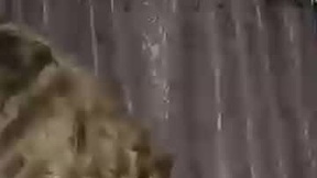 Recent Screenshot of  baby_oliveira