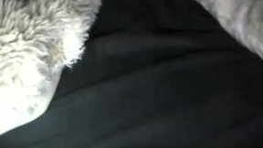 Recent Screenshot of  babygiannax