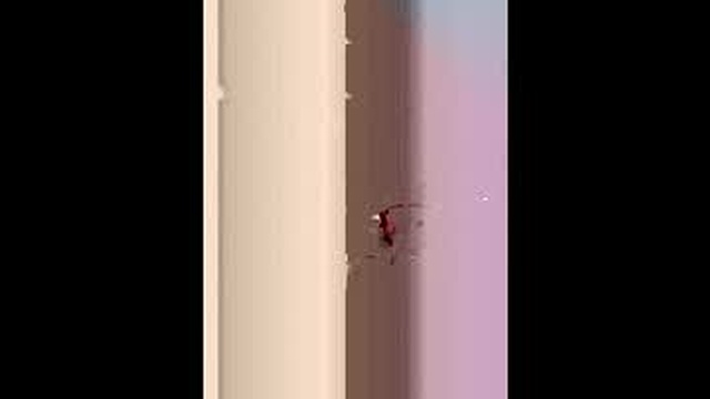 baptistedu11