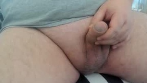 Recent Screenshot of  barecam