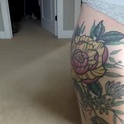 barenakeybaby's Profile Picture