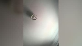 Recent Screenshot of  barnydino