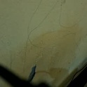 bashcara's Profile Picture