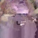 batina8's Profile Picture