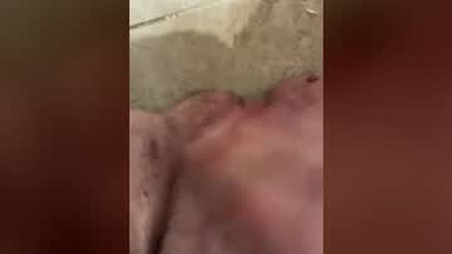 bbr19933