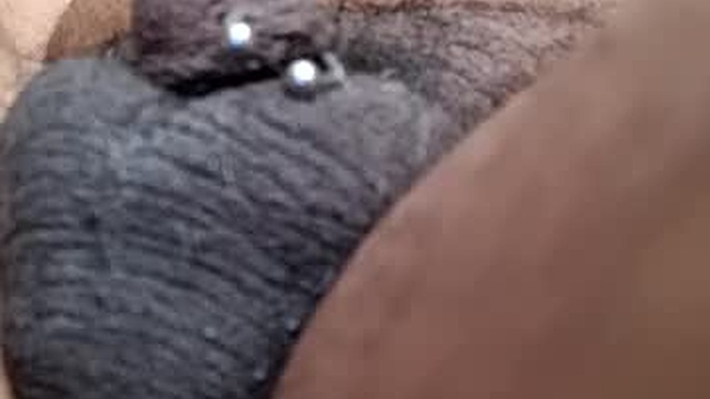 bcfalcon69