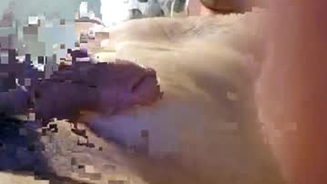 bckmarc