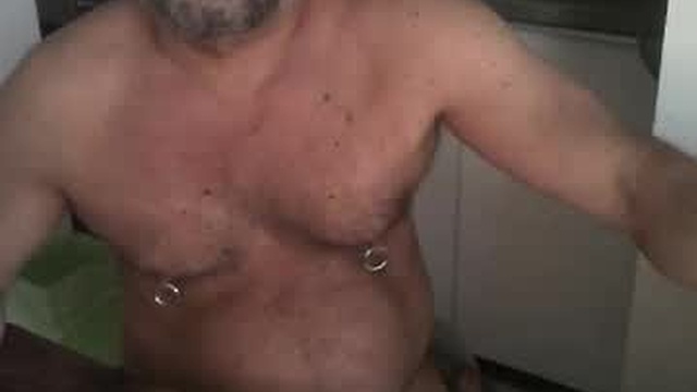 bearuniverse