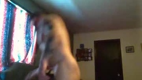 Recent Screenshot of  bedelllw