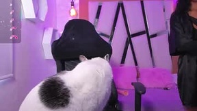 Recent Screenshot of  bella_miller1