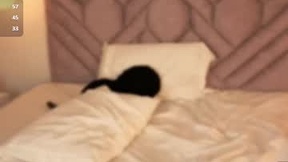 हाल ही का स्ट्रीनिॉट bellaa_swant