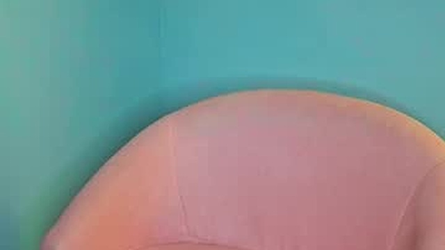 belly_bean