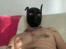 berlin_pup's Profile Pic