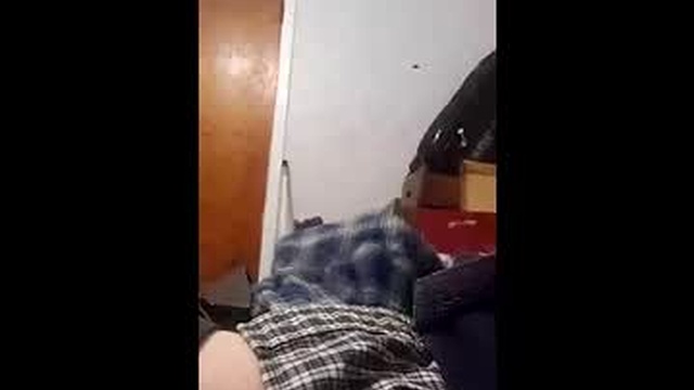 bertpace9296