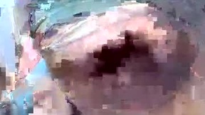 Recent Screenshot of  bestmann979994