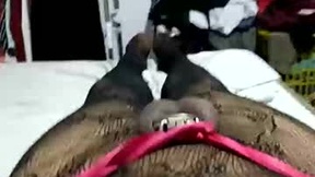 Recent Screenshot of  betaofbonnyp