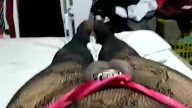 betaofbonnyp