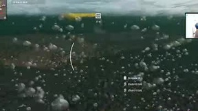 Recent Screenshot of  big_samuel