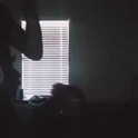 bigdaddyrankings's Profile Picture