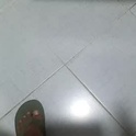 bighdasehzada's Profile Picture