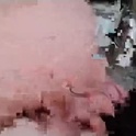 biglk94's Profile Picture