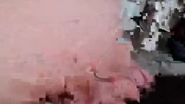 biglk94