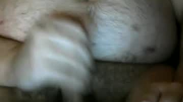 bigxcountry_39