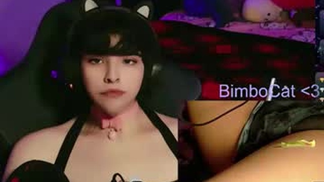 bimbocat