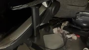 Recent Screenshot of  bisexqldniteowl
