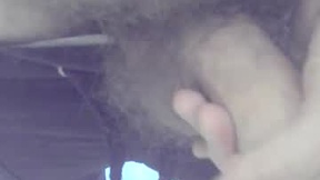 Recent Screenshot of  bitlierius