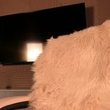blackmilk_01's Profile Picture