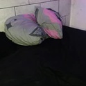 blair_waldoff's Profile Picture