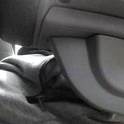 blinddick62's Profile Picture