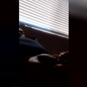 blue114330's Profile Picture