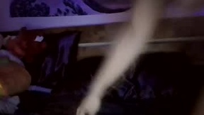 Recent Screenshot of  bluediamondaf