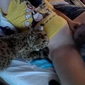 bobkitty's Profile Picture