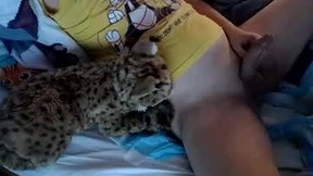 Recent Screenshot of  bobkitty