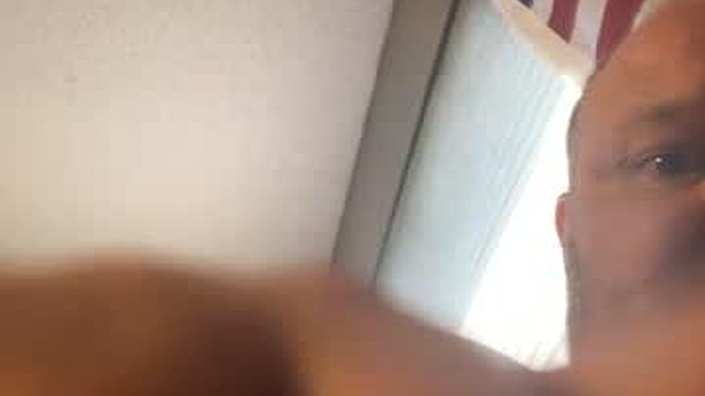 bolotie