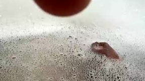 Recent Screenshot of  bonershot