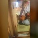 bountylove17's Profile Picture
