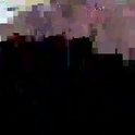 boycow915762's Profile Picture