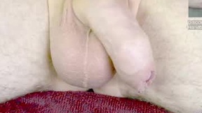 Recent Screenshot of  br_munch