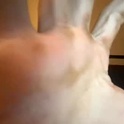 brando314's Profile Picture