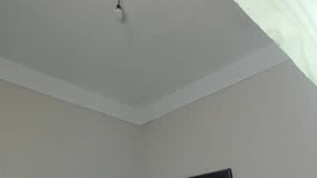 Recent Screenshot of  briilliiitosss