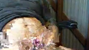 Recent Screenshot of  brissyman101